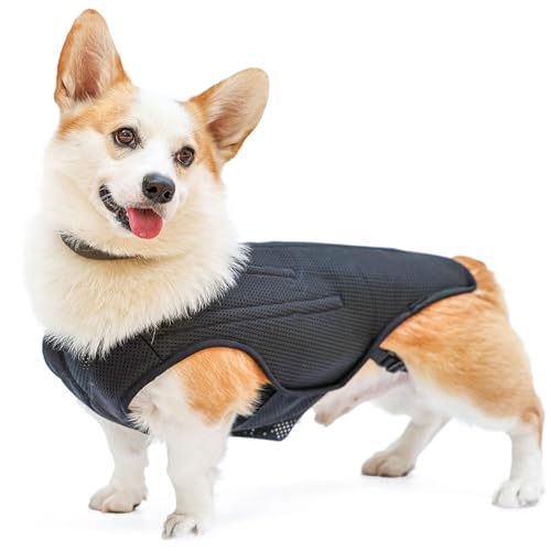 Image of ETIAL IVDD Back Brace for Dogs, Pet Dachshund Back Supporting Vest, Canine Dog Back Bracer for Puppy with Arthritis, Herniated Disc, Back Pain, Spinal Surgical Recovery and Rehabilitation (M)