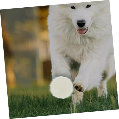 4 balles lumineuses à mâcher pour chiens actifs