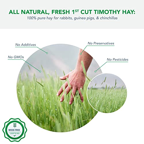 1st Cut Timothy Hay, 8 Lbs miniatura 3