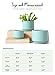 LE TAUCI Ceramic Plant Pots, 4.3+5.3+6.8 inch, Set of 3, Planters with Drainage Hole and Saucer, Indoor Flower Pot with Hole Mesh Pad, Gifts for Mom, Aqua