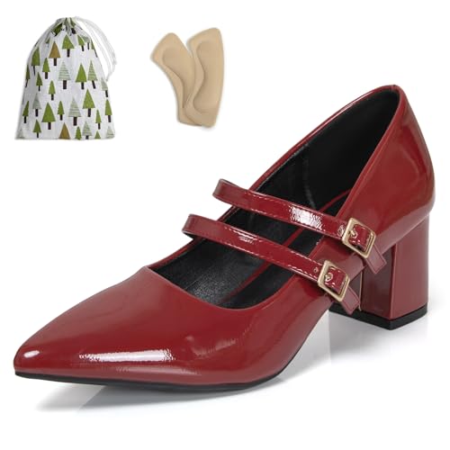 Womens Slip On Block Pumps with Double Strap Pointed Closed Toe Red Mary Jane Shoes for Women 2.4 Inch Low Chunky Heels Comfortable Dressy Party Meeting Shoes