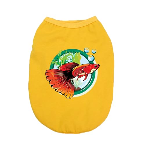 [QINTIW] XS L L̕ LbgEFA lREFA lR ybgm j̎q ̎q Mtgv[g ₷  ^ fUC1 m h~ ybgEFA 킢  p m