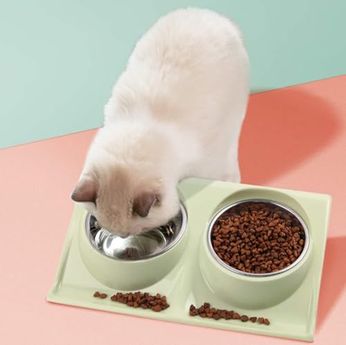Comedouro e Bebedouro Duplo Elevado para Gatos e Cães Adulto e Filhotes Porte Pequeno - Tigelas de A