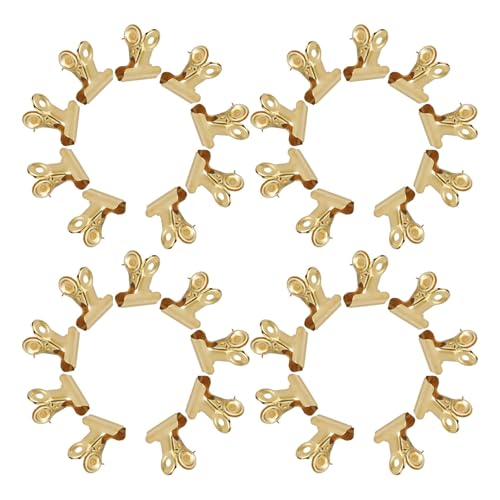 Frcolor 50S[hvbVs Nbvt ͗ߋ ItBXpNbvt [ RN{[hp ʐ^Œp 