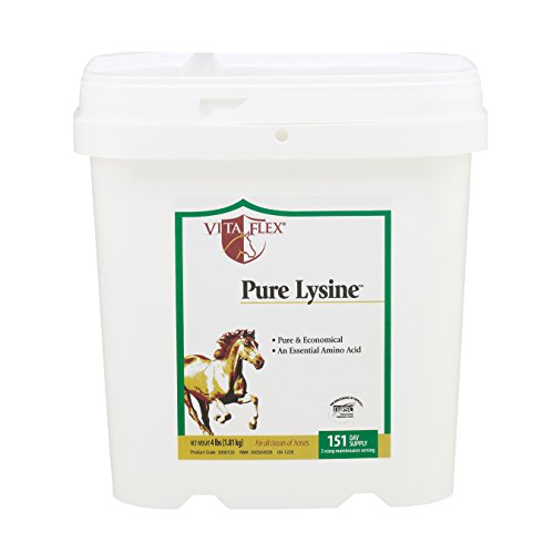 Vita Flex Pure Lysine, 151 Day Supply, 4 lbs