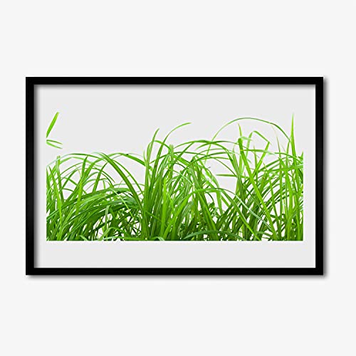 Image murale photo herbe et nature pour une chambre zen Tulup