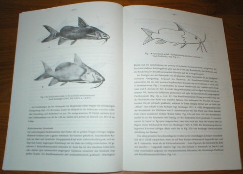 Studien an subfossilen Tierknochen aus Ägypten (Münchner Ägyptologische Studien)