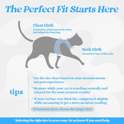 Image of rabbitgoo Cat Harness and Leash Set, Step-in Soft Vest, Light Blue | Escape Proof, Lightweight, Easy-on & Adjustable, Hook & Loop with Buckle, Reflective, for Kittens & Small Cats Walks, S