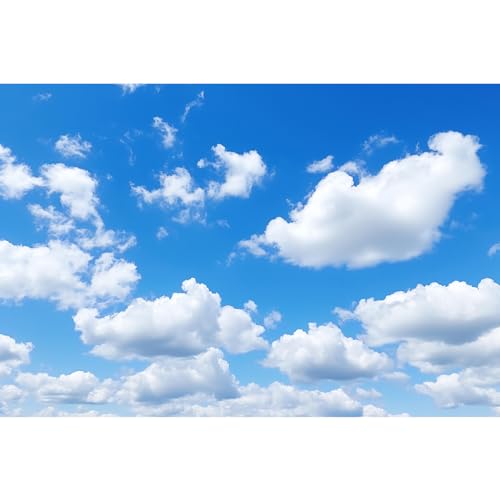 Image of Blue Sky Aquarium Background Tiny Cloudy Cumulus Fish Tank Background White Clouds in Clear Blue Sky Reptile Tank Backgrounds Cloudy Blue Skys Reptile Enclosure Backgrounds Wallpaper Poster 24x12in