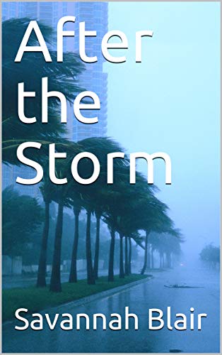 After the Storm by [Savannah Blair]