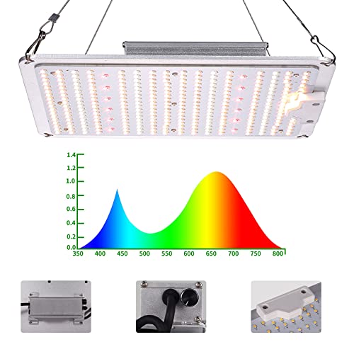 Top 10 4X4 Led Grow Light of 2022 Katynel