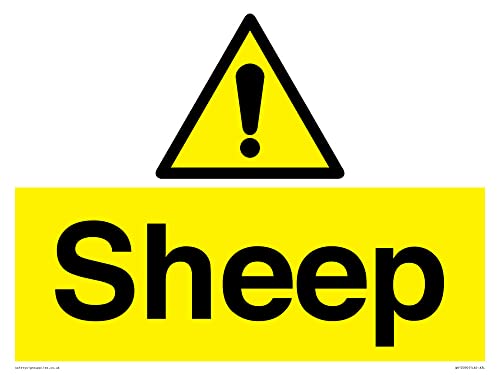 Sheep Sign - 400x300mm - A3L, Yellow/White