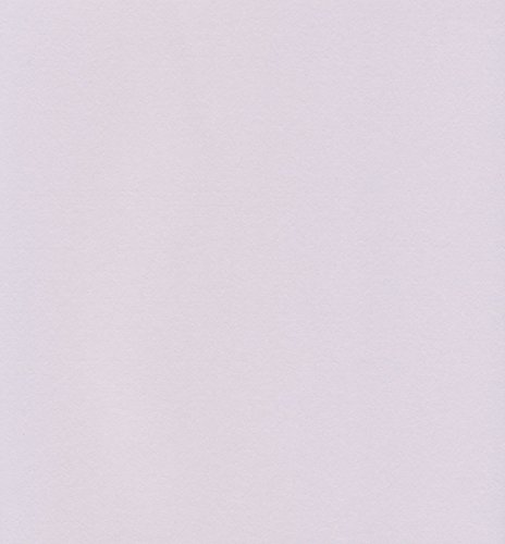 エスケント ケント紙 スターカラー 八切 アイリス 100枚 5730008