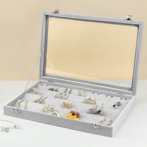 QWORK® Organizador de Pendientes de Terciopelo con Tapa Transparente, Vitrina de joyería con Cerradura para 40 Pares