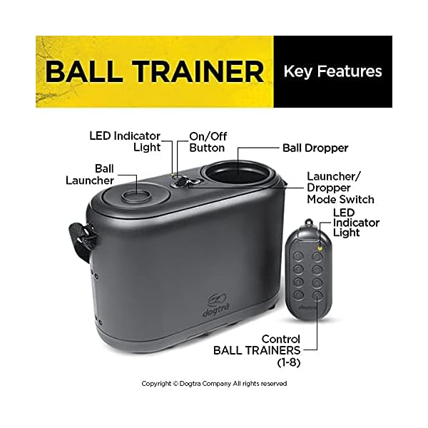 Dogtra-Ball-Trainer-Replaceable-Battery-100-Yard-Dual-Function-LauncherDropper-for-Immediate-Reward-Training Dogtra Ball Trainer