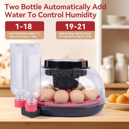 12 Egg Incubators for Hatching Eggs, Chicken Egg Incubator with Automatic Egg Turning and Temperature Humidity Control, 360° Clear View Lid or Home, Farm, Classroom, Hatching Chicken, Duck,Quail,Goose - Image 5