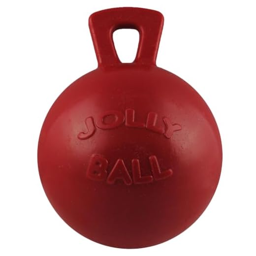 Jolly Pets Tug-n-Toss Heavy Duty Dog Toy Ball with Handle, XL (10 in), Red