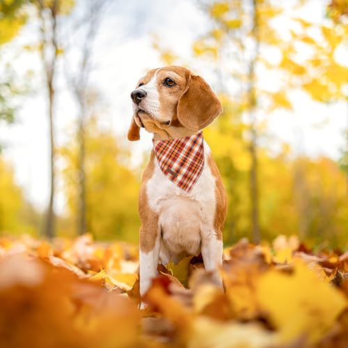 Unique Style Paws Dog Bandanas 1PC Washable Cotton Triangle Dog Scarfs Autumn Plaid with Colorful Orange Grid for Small Medium Large Dogs and Cats - Thumbnail 5