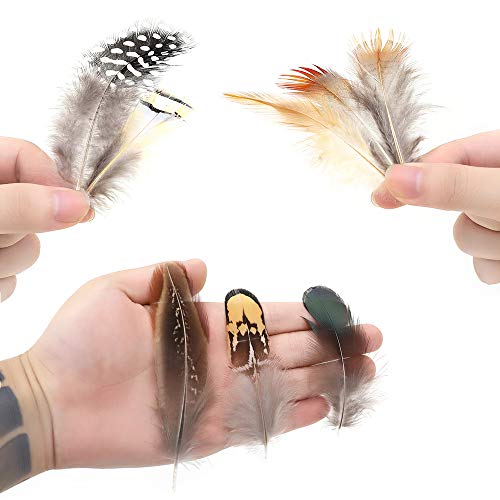 180Pcs 9 Styled Natural Feathers Assorted Mixed Feathers For Jewelry And Dream Catcher Crafts #TOP3