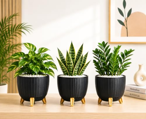 Image of (7 Inch) Plastic Gamala for Indoor Outdoor Plants with Stand, planters for Home Decor, Flower Pot with Legs, Flower Pot for Living Room, Garden, Pot for Office Table & Home (Black, 3)