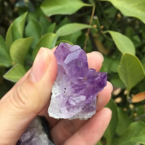 Amethyst Quartz Crystal Cluster Remueve el Estrés Visual de su Oficina 3
