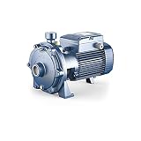  Pedrollo - Bomba de agua 2CPm2516B 1,50 kW hasta 6 m3/h monofásico 220 V