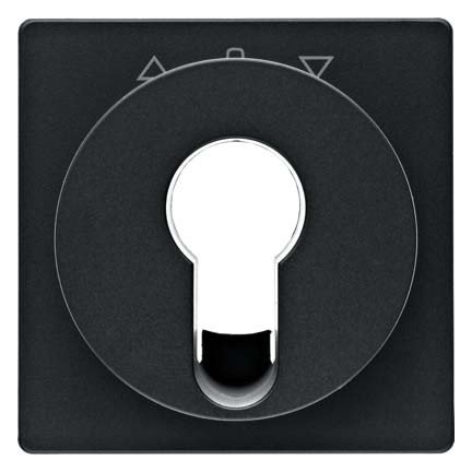 Plaque interrupteur à clé de volet anthracite Q.1 pour sécuriser les stores du salon