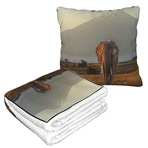 Pillow Blanket 2 in 1 Under The Roof of Africa Blanket Lightweight Plush Bed Throw Convertible Fleece Blanket Soft Travel Neck Pillow Sofa Combo