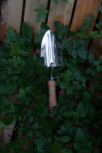 Set de herramientas de jardinería Rooty 3 piezas acero inoxidable miniatura 5