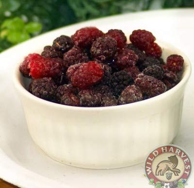 Northwest Wild Foods Fresh Frozen Wild Mountain Blackberries By Northwest Wild Foods thumb #1