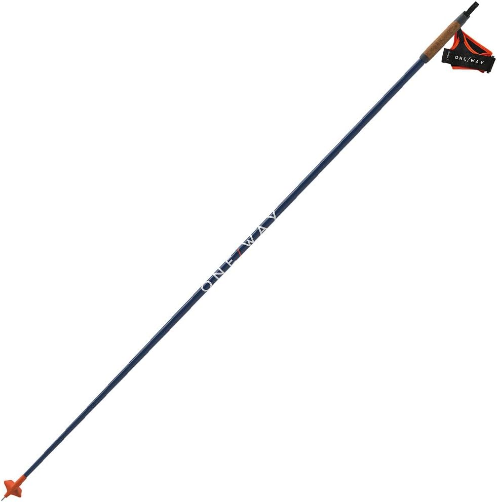 Fischer Skiing Lightweight High-Performance Storm 5 Race Navy Nordic Poles