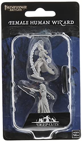 Figurines Female Human Wizard Pathfinder Battles Deep Cuts x6 non peintes