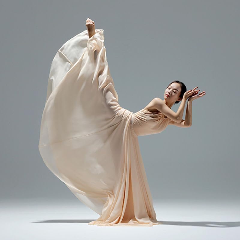 HEARTTOUCH Women's Sheer Lyrical Dance Skirt 720° Ballet Modern Swing Skirts Light Dance Dress for Performance Photography