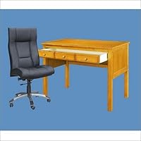 Algopix Similar Product 20 - Study Desk HONEY
