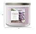 Yankee Candle Dried Lavender & Oak, Scented Candle, 14.5oz 3-Wick Candle Jar with up to 40 Hours Burn Time, Giftable