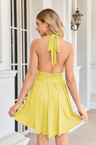 Image of Heysolo Women's Halter Deep V Neck Mini Dress Summer Backless Sleeveless Sexy Party Club Cocktail Dresses