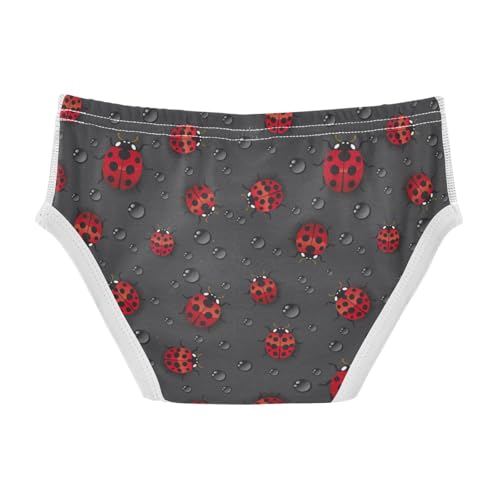 Boys' Exclusive Briefs Toddler Underwear 95% Combed Cotton Boxerbriefs 2T Ladybug and Water - Drop Pattern 312
