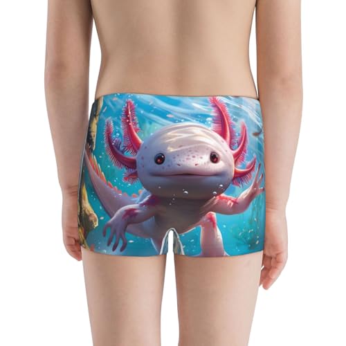 Boys' Cotton Boxer Brief Soft Underwear-Cute Underwater Axolotl3