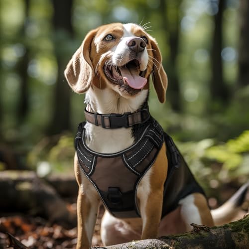 Image of Joytale Reflective Dog Collar, Soft Neoprene Padded, Metal D-Ring, Nylon Pet Collar Adjustable for Puppy and Small Dogs, Brown, XSmall