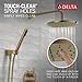 Delta Modern 14 Series Round Rain Shower System Faucet Set, Rainfall Brushed Gold Shower Head and Handle Set, Valve Trim Kit, 10 Inch, Champagne Bronze 342702-CZ