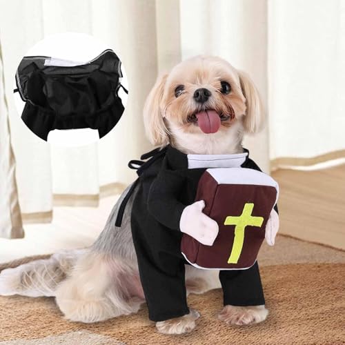 Disfraz Halloween para gato Talla XL miniatura 4