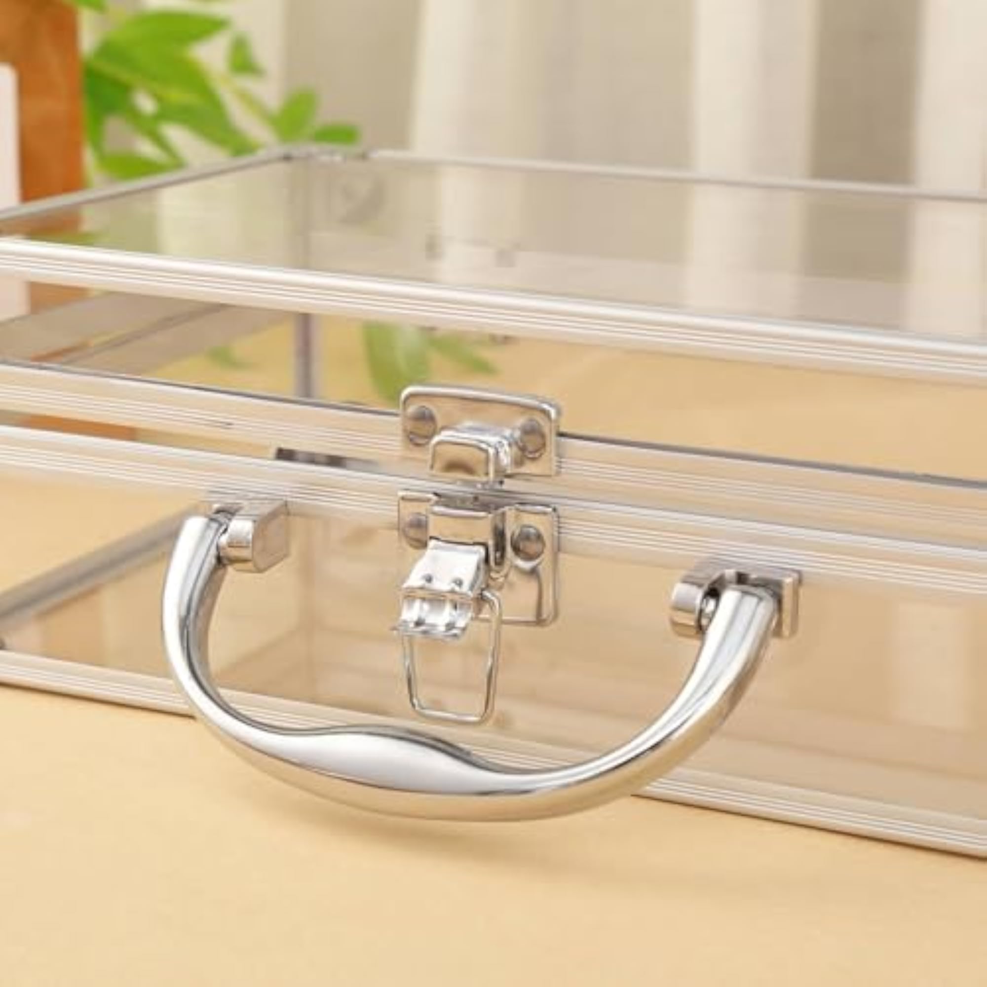 Transparent Makeup Case Large Capacity Storage Box