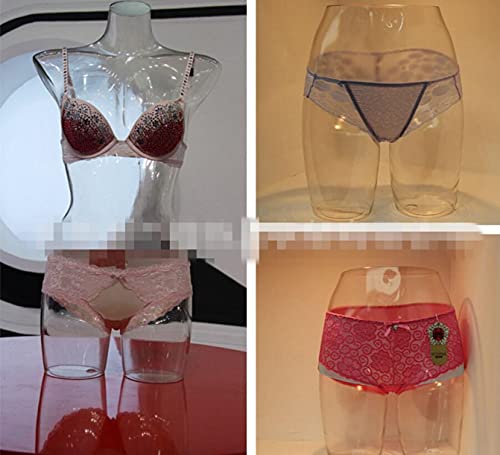 Yjiuyuanq Female Lower Body Mannequin Plastic Transparent Underwear Underpants Display Hip Model Shorts Display Props thumb #6