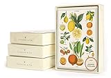 Jardin Boxed Note Cards