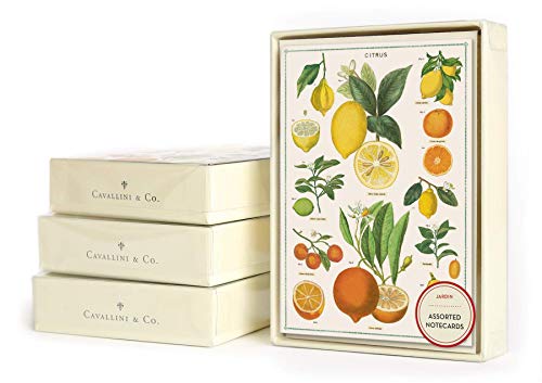 Cartes de notes Jardin - Lot de papeterie fleurie pour correspondance