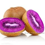 ¡Gran venta! 100 piezas Mini Actinidia Semillas de plantas en macetas pequeñas de árboles frutales Hermosas semillas de kiwi Bonsai