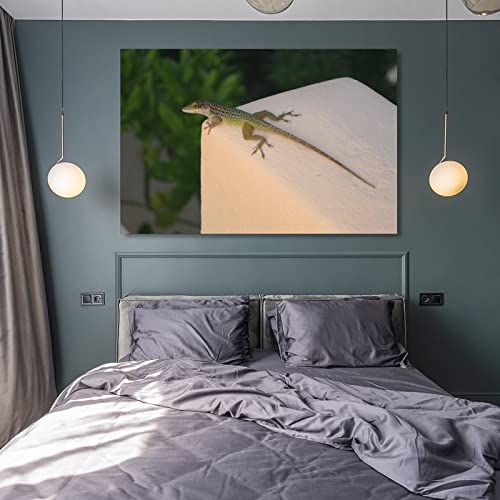 Photography Poster Reptile Lizard Art White Painted Block Wall Wall Decor Canvas Wall Art Prints For Wall Decor Room Decor Bedroom Decor Gifts 24X36Inch(60X90Cm) Frame-Style #TOP7