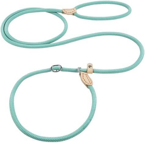 OSDUE Hundeleine Verstellbar 1.8m x 0.8cm für Kleine und mittelgroße Hunde | Robuste Hundeleine zum Trainieren und Gassi gehen, Führleine aus weichem Nylon, Verstellbarer Schieberi