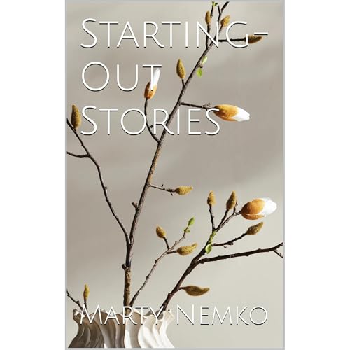 Starting-Out Stories Audiolibro Por Marty Nemko arte de portada
