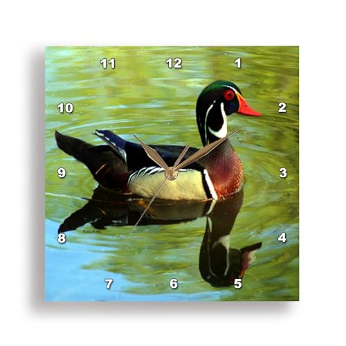 3dRose Wall Clock Silent - 13 inch - Wood-Duck - Reflections at The Pond - Bird Art Designs